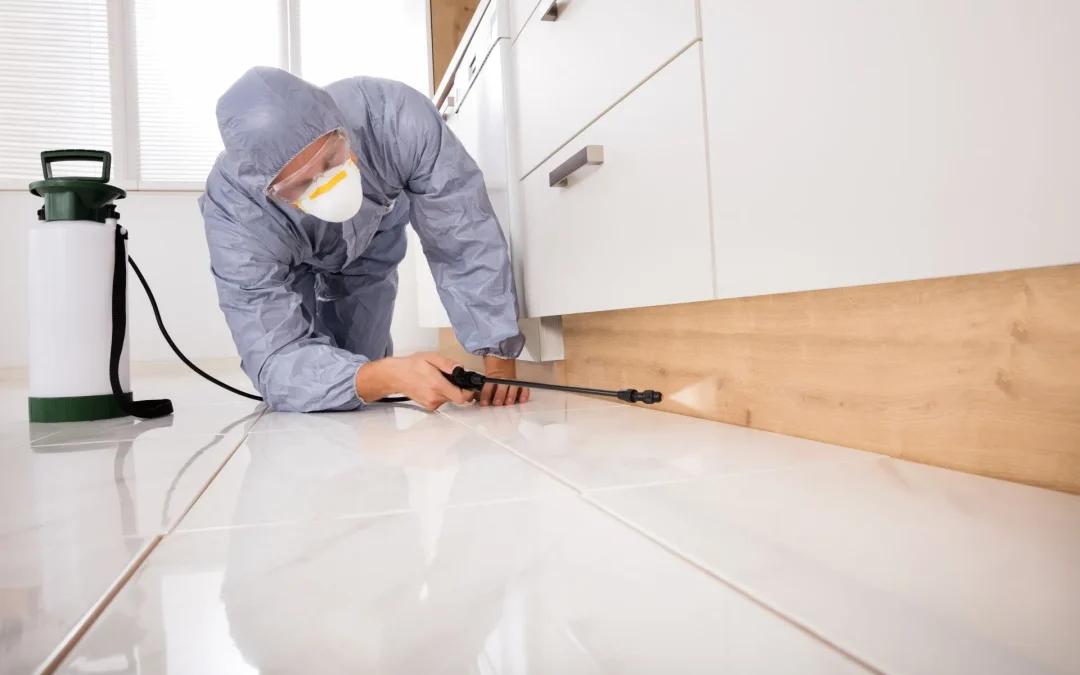 3 Common Reasons People Call Pest Control