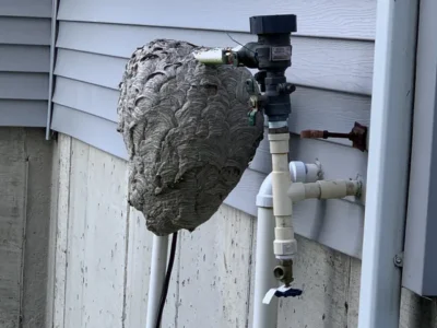 8770D4BF-687B-4583-85B3-BF3490521875-ef54304e-640w