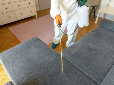 pest control safe for pets