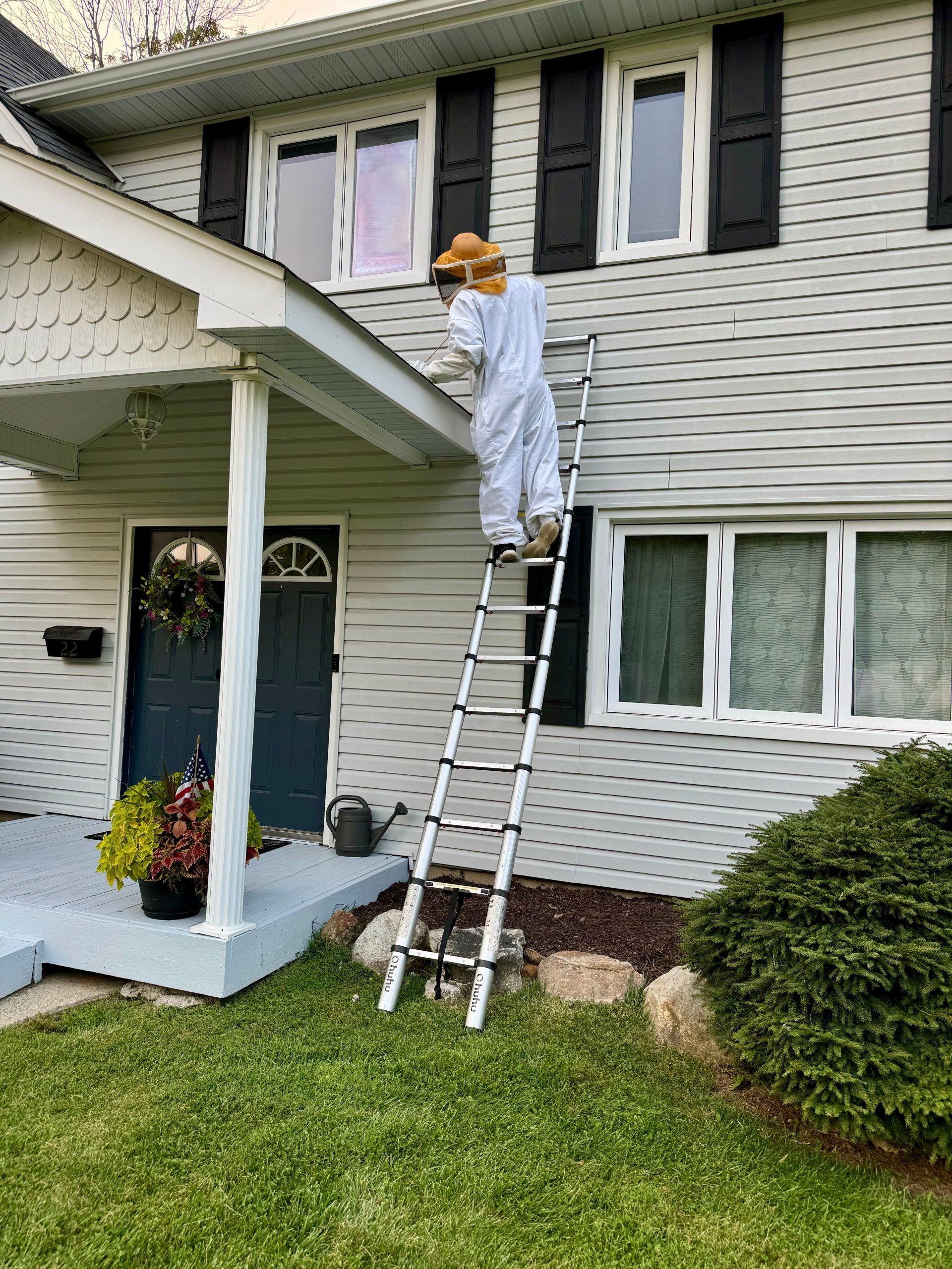 pest control services in Mendham. NJ